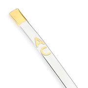 bomba de chimarrão em prata com 2 letras em ouro