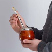 Kit-de-chimarrao-com-cuia-coquinho-e-bomba-viamao