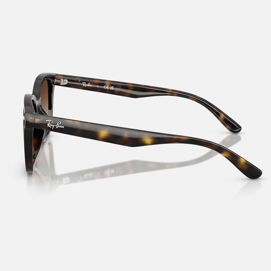 Ray-Ban RB4461D 710/13 64 Retangular Havana em Nailon Lentes