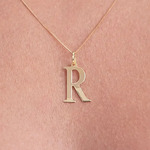 minibannerpingentesD